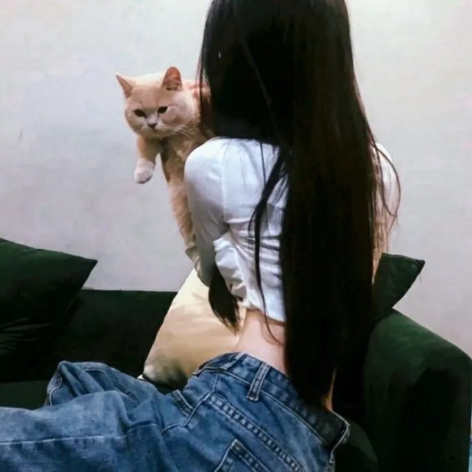 被驱逐的馆长