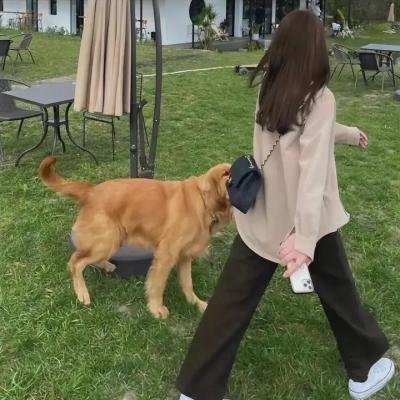 耀眼的你